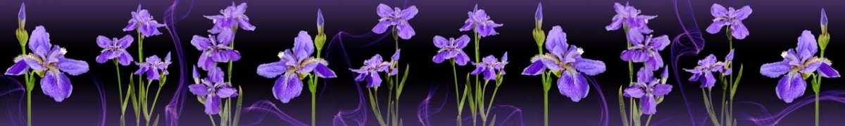 skinali-0778