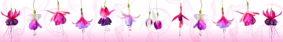 skinali-0779