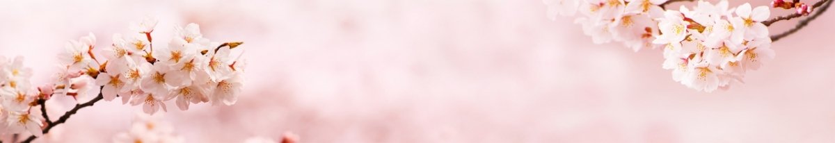 skinali-0908