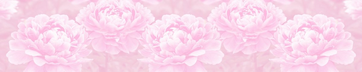 skinali-10806