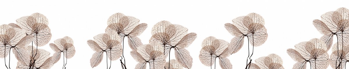 skinali-11558