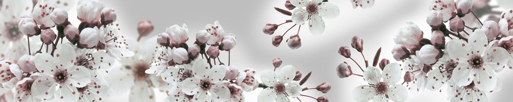 skinali-12188