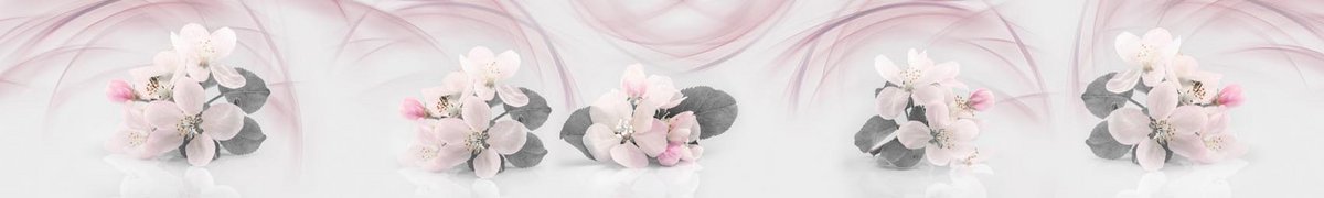skinali-14845-o