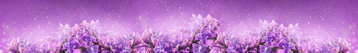 skinali-15304-o