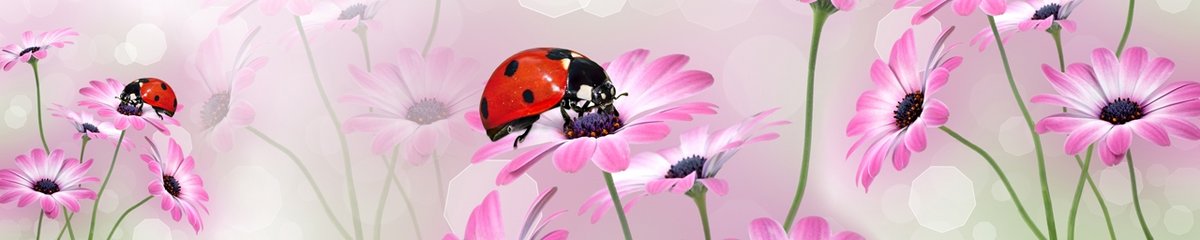 skinali-3076