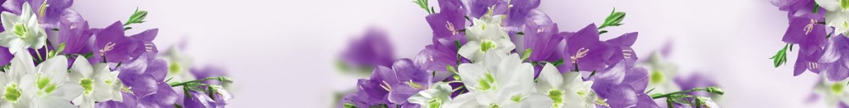 skinali-4016