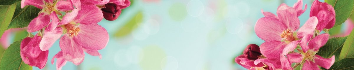 skinali-4747