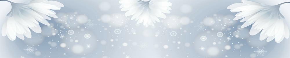 skinali-5336-o
