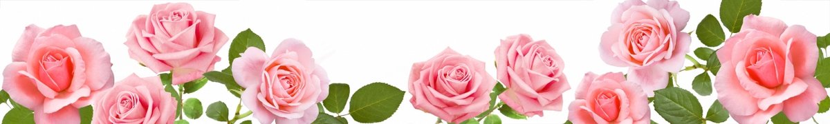 skinali-5353