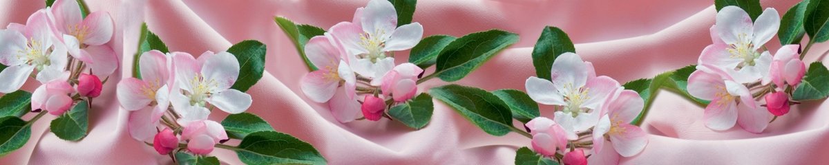 skinali-5693
