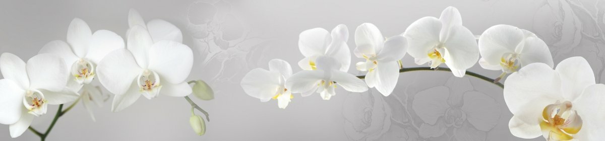 skinali-8007