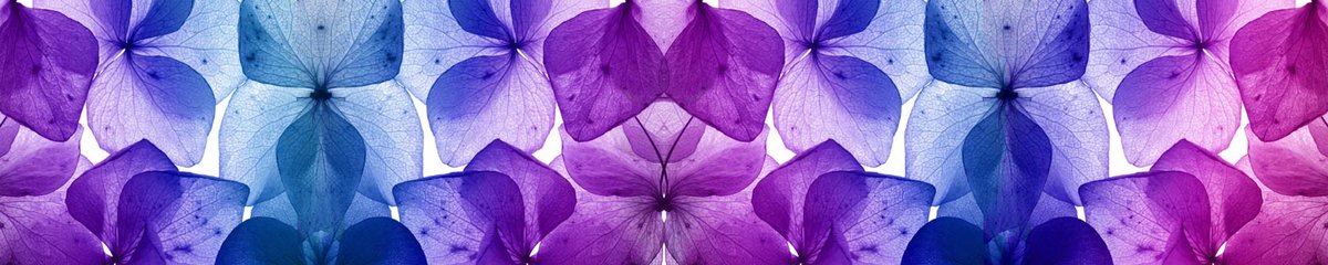 skinali-8151-o