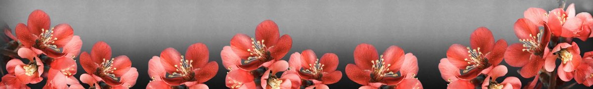 skinali-8357-o