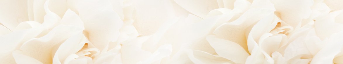 skinali-9506
