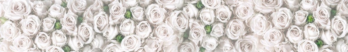 skinali-9896-o