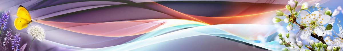 skinali-15222-o