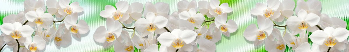 skinali-10512