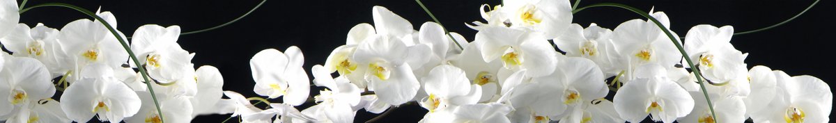 skinali-11123