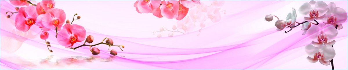 skinali-12094