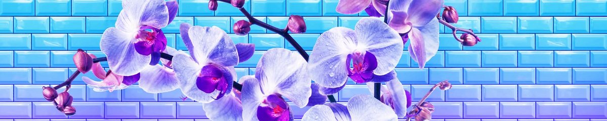 skinali-14049-o