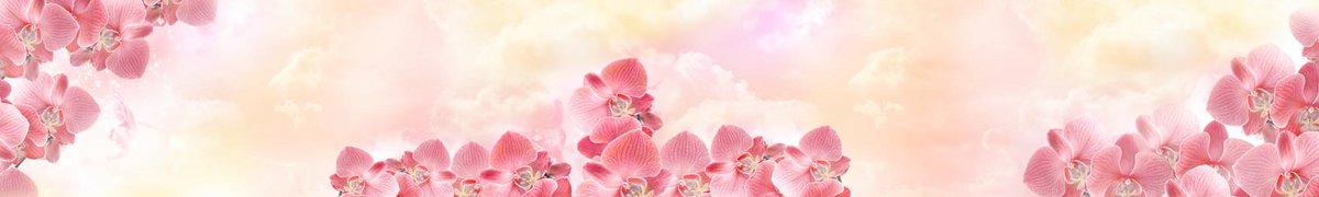 skinali-14966-o