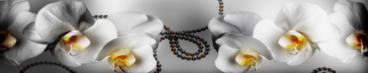 skinali-5909