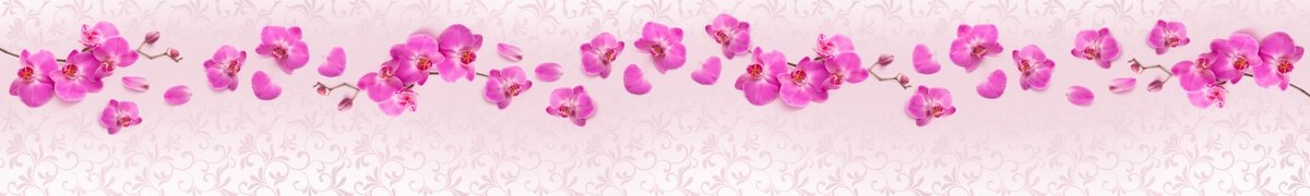skinali-7818