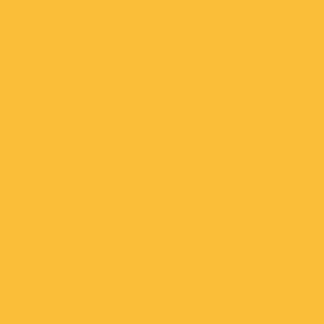 NCS-S-1060-Y10R